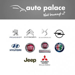 Auto Palace Zwolle / Marslanden logo