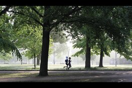Minder dan helft van de Drentenaren voldoet aan beweegrichtlijn, ondanks vooruitgang in meeste gemeenten